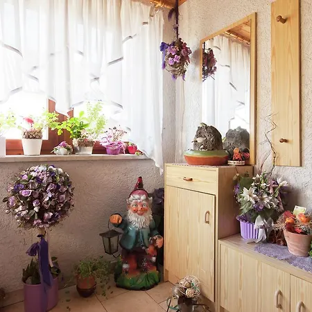 Nadine Appartement Goessweinstein